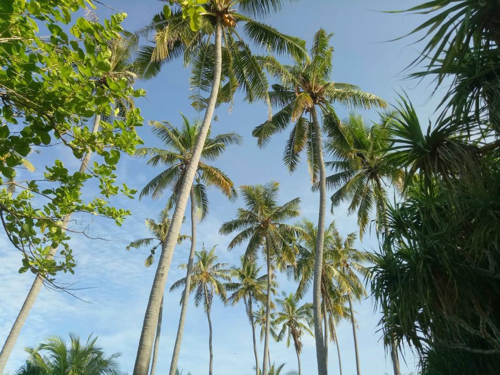Puri Saron Senggigi Hotel Luaran gambar