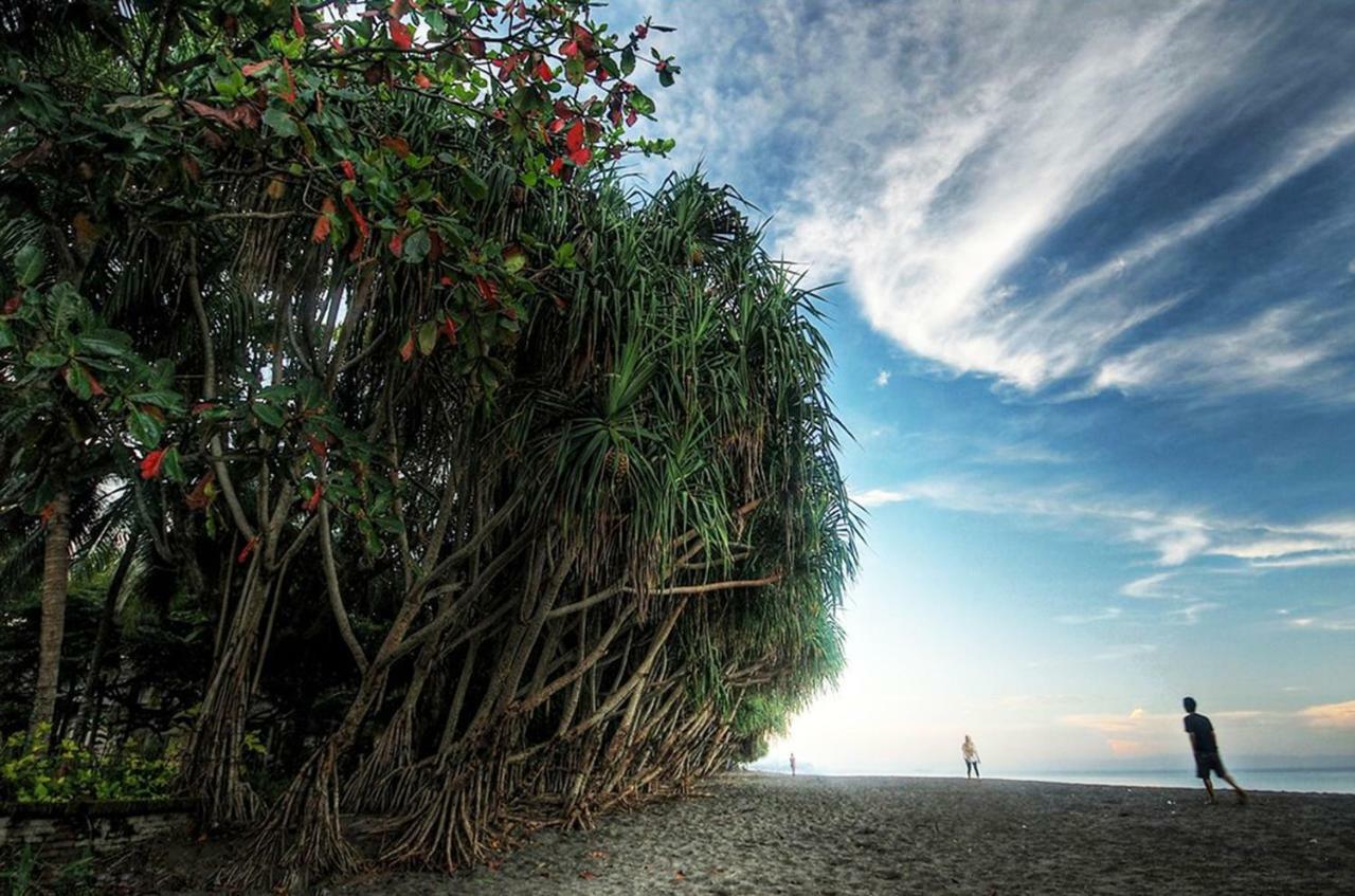 Puri Saron Senggigi Hotel Luaran gambar